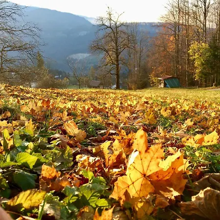 Hallstaettersee Apartamento Bad Goisern